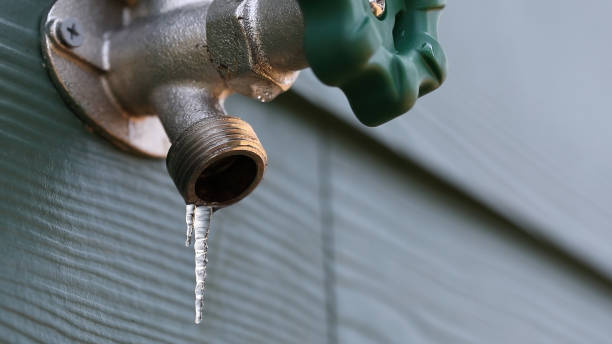 Best Leak Detection Services  in Sibley, IA